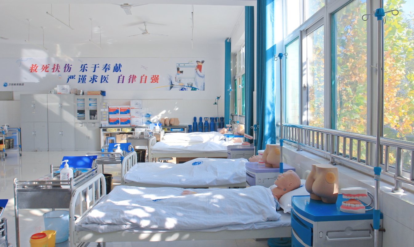 网站图3 网站图3